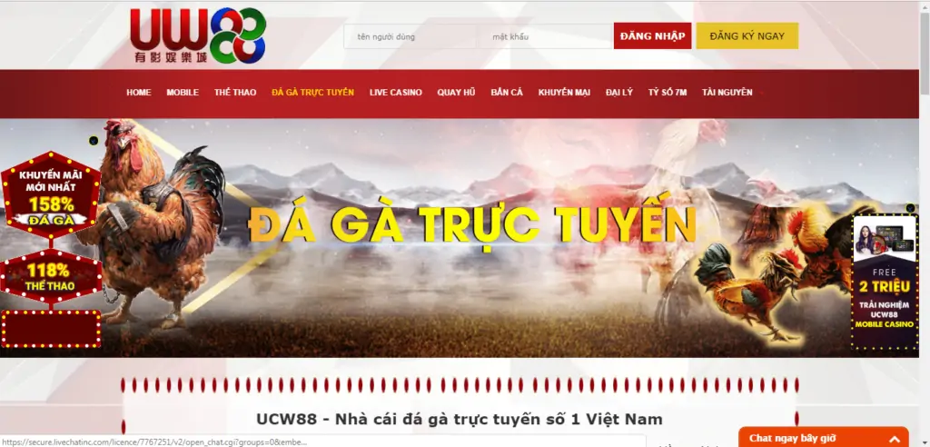 Đá gà online tại UCW88