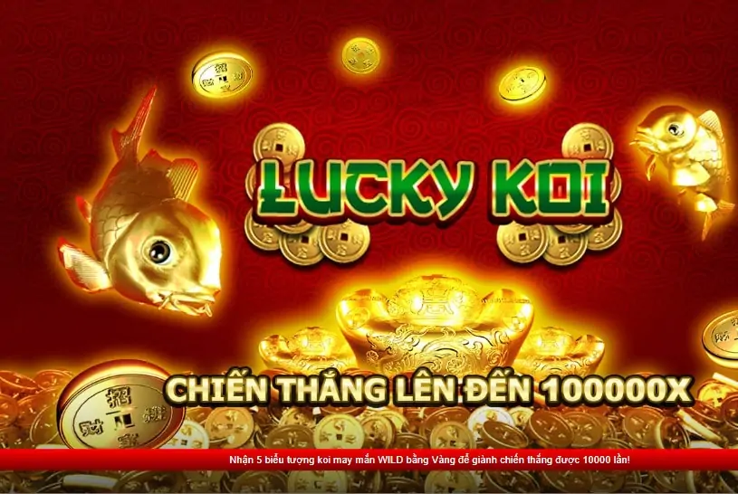 Lucky Koi 